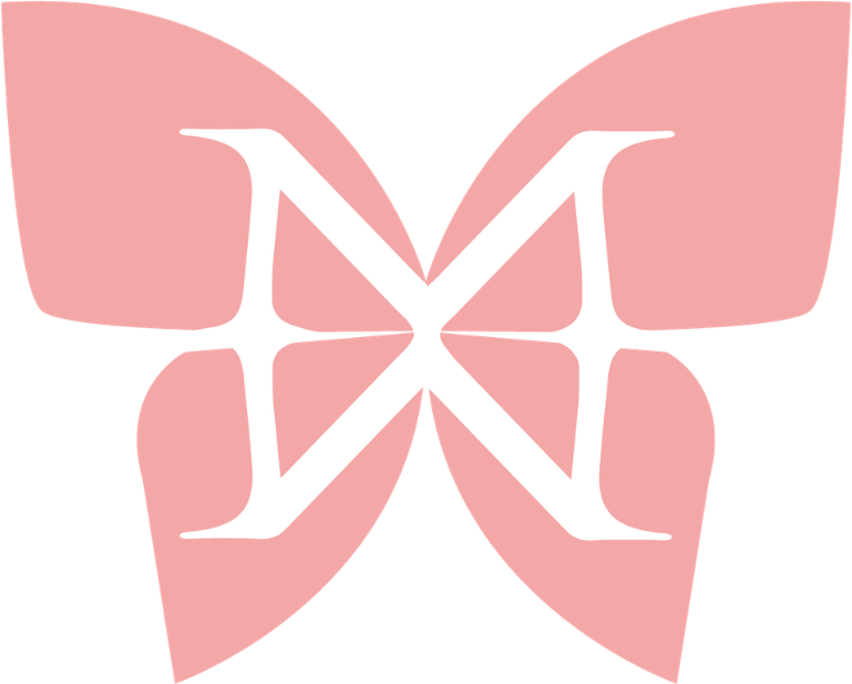 Logo Maéva Mendimi
